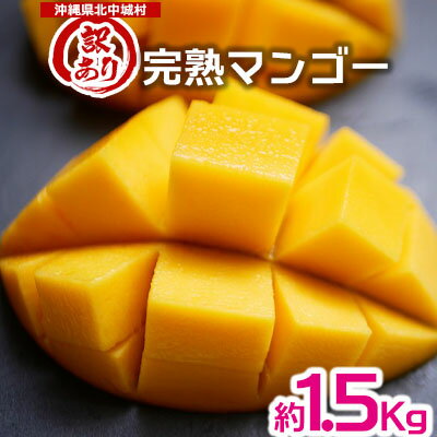 訳あり品！沖縄県北中城村　完熟マンゴー（中）×1箱（約1.5kg）